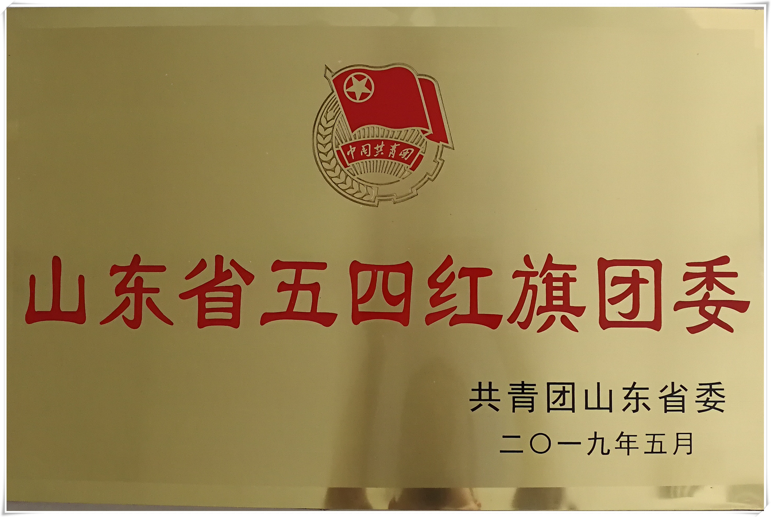 学院团委首次荣获"山东省五四红旗团委"